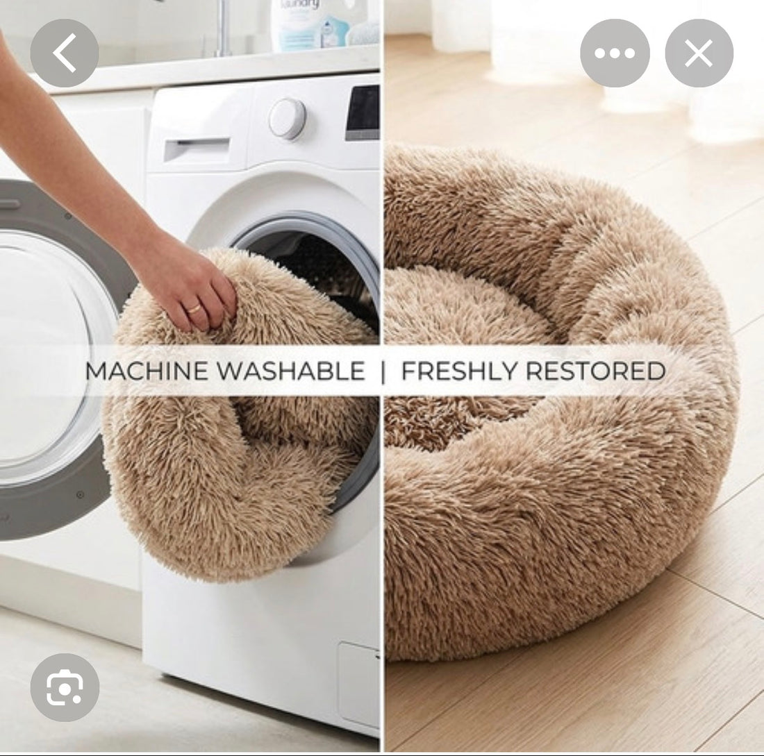 FurEver Finds Calming Donut Pet Bed being placed in washing machine — machine washable