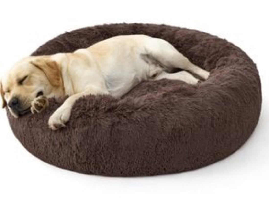 FurEver Finds Calming Donut Pet Bed for Dogs and Cats, Brown