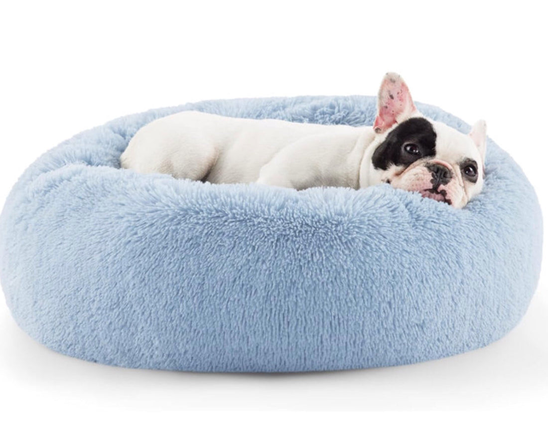 FurEver Finds Calming Donut Pet Bed for Dogs and Cats, Light Blue