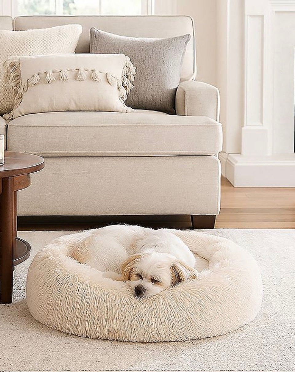 FurEver Finds Calming Donut Pet Bed for Dogs and Cats, Ivory