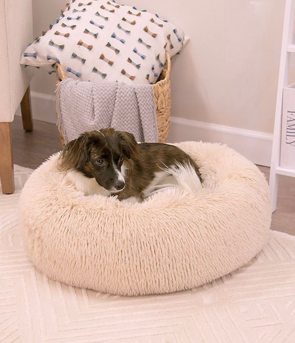 FurEver Finds Calming Donut Pet Bed for Dogs and Cats, Ivory