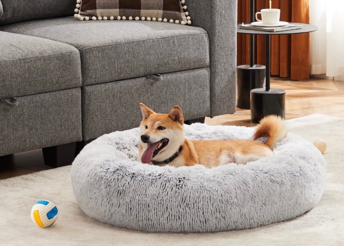 FurEver Finds Calming Donut Pet Bed for Dogs and Cats, Gray