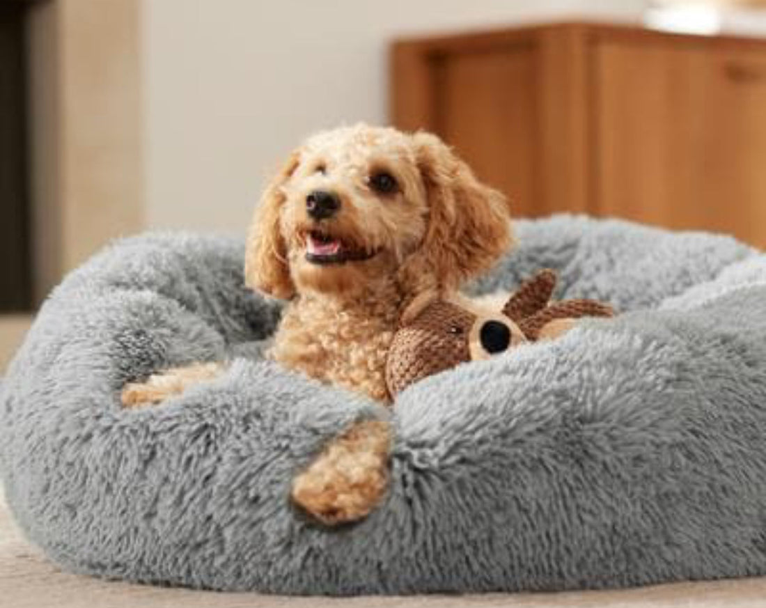 FurEver Finds Calming Donut Pet Bed for Dogs and Cats, Gray