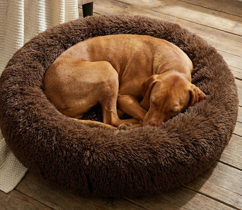 FurEver Finds Calming Donut Pet Bed for Dogs and Cats, Brown