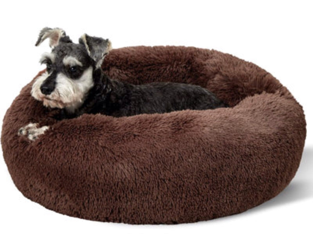 FurEver Finds Calming Donut Pet Bed for Dogs and Cats, Brown