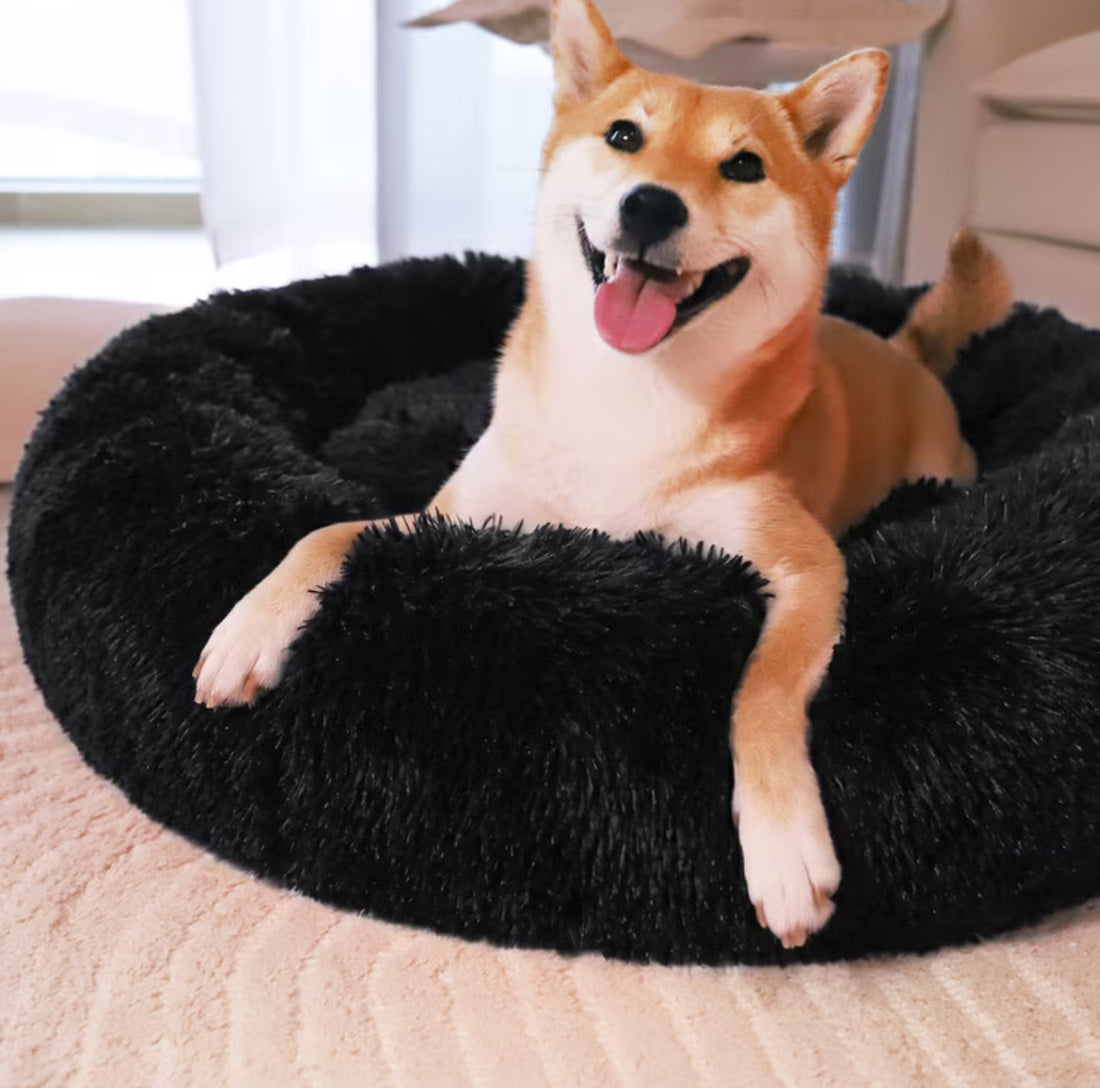 FurEver Finds Calming Donut Pet Bed for Dogs and Cats, Black