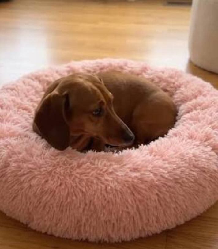 FurEver Finds Calming Donut Pet Bed for Dogs and Cats, Pink