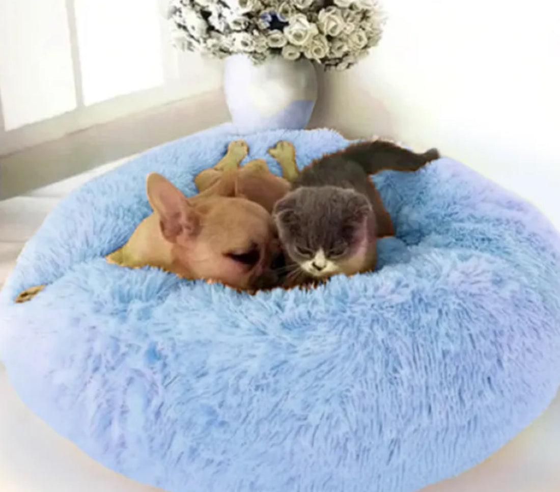 FurEver Finds Calming Donut Pet Bed for Dogs and Cats, Light Blue
