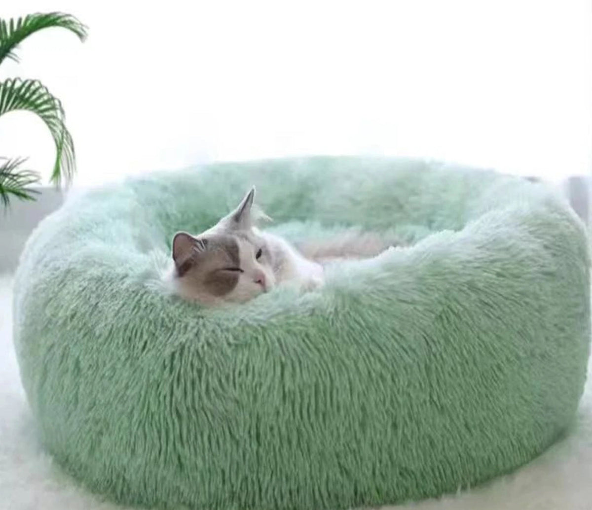 FurEver Finds Calming Donut Pet Bed for Dogs and Cats, Light Green