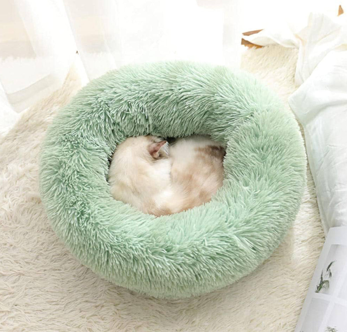 FurEver Finds Calming Donut Pet Bed for Dogs and Cats, Light Green