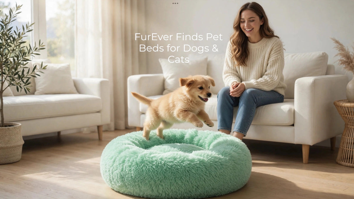 Puppy jumping onto FurEver Finds Calming Donut Pet Bed